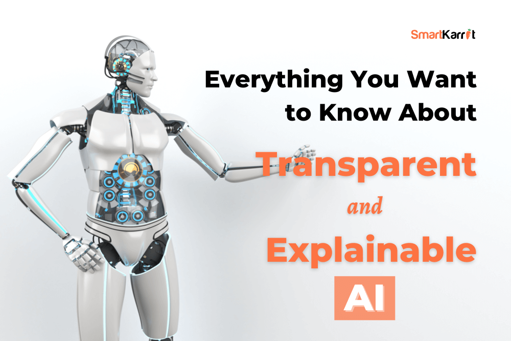 Transparent and Explainable AI