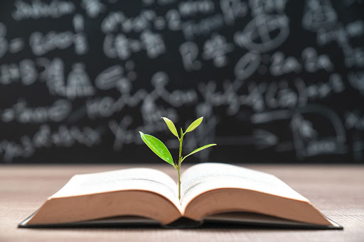 what is customer education
