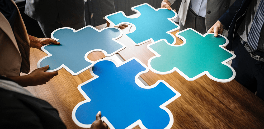 customer success team