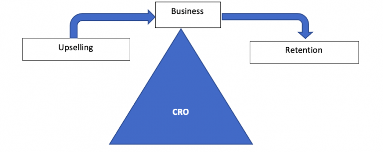 chief revenue officer business plan