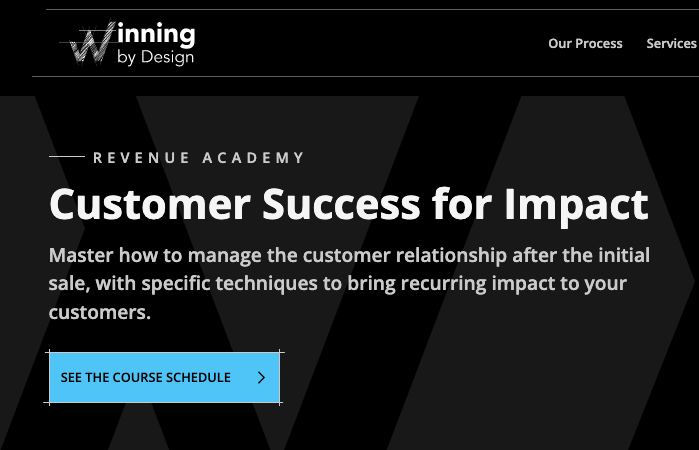 Customer Success for Impact by Revenue Academy